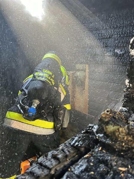 Brand Hütte in einer Schrebergartenanlage (Bild 1)